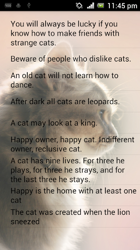 【免費書籍App】Cat Sayings-APP點子