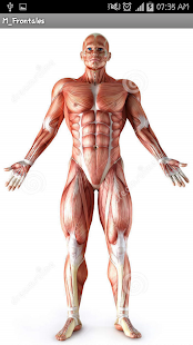 Free MedicAndroid APK for PC