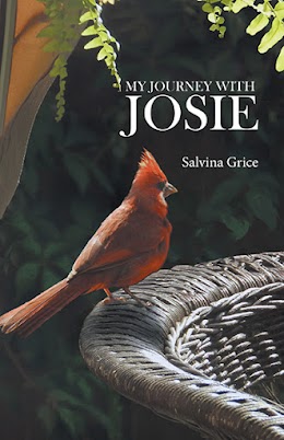 My Journey with Josie cover