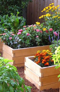 DIY Gardening Tips(圖5)-速報App