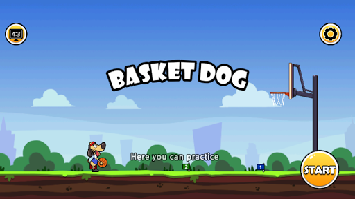 Basket Dog