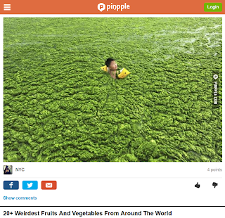 Free Download Viral Stories APK