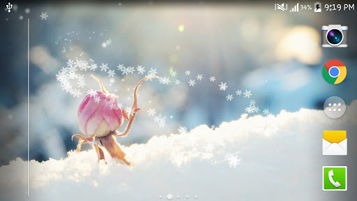 Winter Snow Live Wallpaper PRO