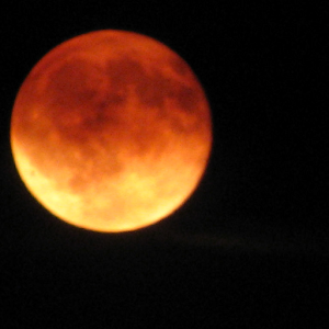 Forks Washington 1.01.57