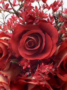 How to install 3D Roses wallpaper 2.0.6 apk for laptop