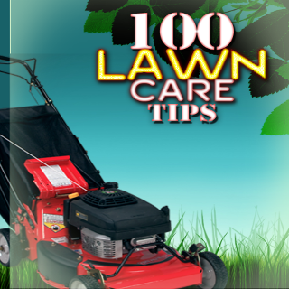 Lawn Care - 100 Tips + Videos