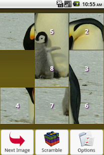 Penguin Puzzle Screenshots 11
