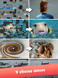 Eye Know: Quiz con imágenes poster 15