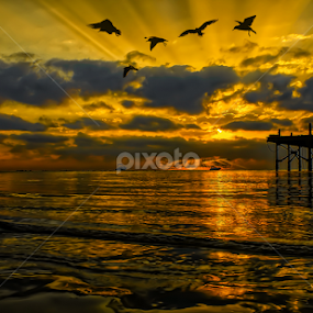 Little Venice by Nasser Osman - Landscapes Waterscapes