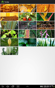 Terralgo Indoor Screenshots 21