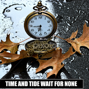 by Dipali S - Typography Captioned Photos