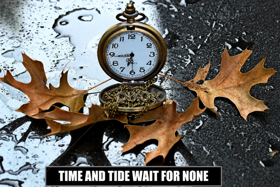 by Dipali S - Typography Captioned Photos