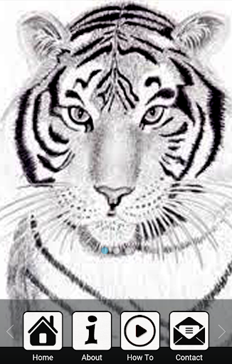 【免費生活App】How To Draw a Tiger-APP點子