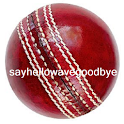 Cricket World News Ad Free logo