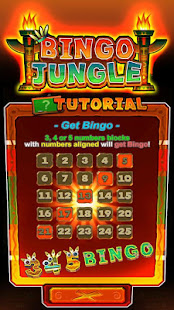 賓果森林 - Bingo Jungle(圖4)-速報App