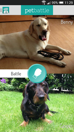 Pet Battle