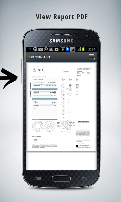 DIAMOND LAB CERTS Screen 3