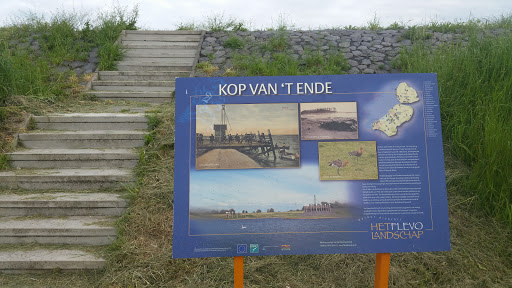 Info Kop Van 'T Ende
