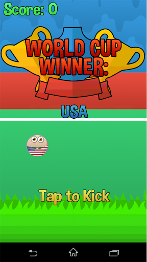 Flappy Cup Winner USA