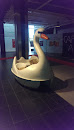 Swan