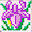 AndMajak Download on Windows