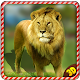 Wild Angry Lion Revenge Sim 3D