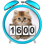 Kitten Clock Weather Widget  Icon