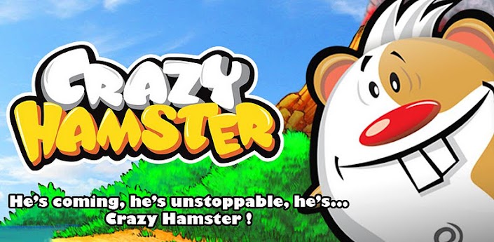 Crazy Hamster