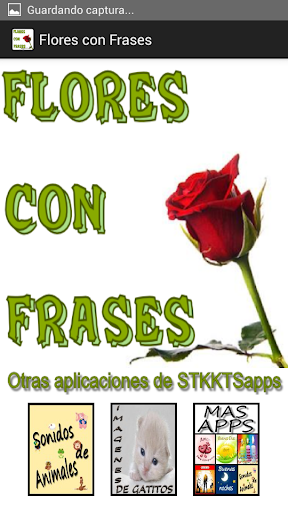 Flores con Frases