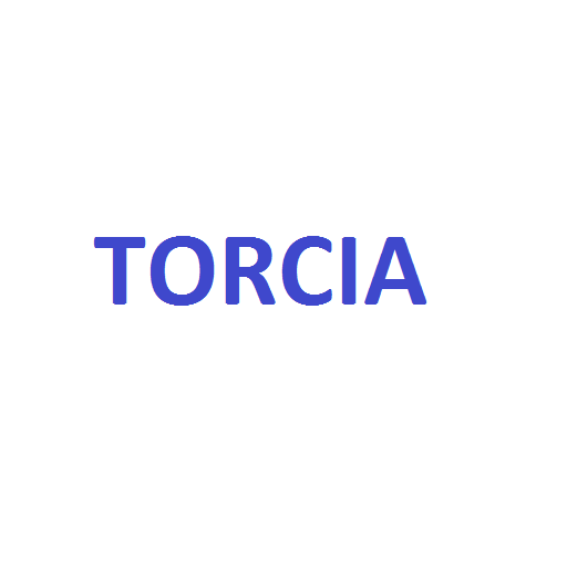 Torcia Subito Pro