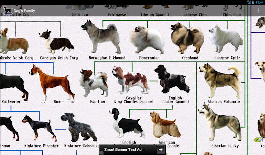 Dog Breeds - Apps on Google Play