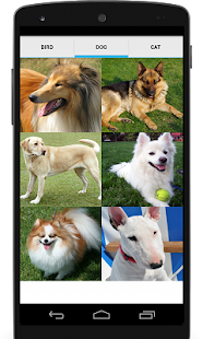 Animal Sounds (Bird,Dog,Cat) Screenshots 3