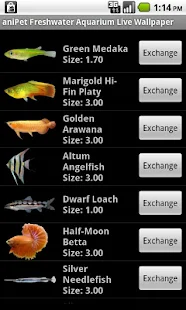aniPet Freshwater Live WP(圖3)-速報App