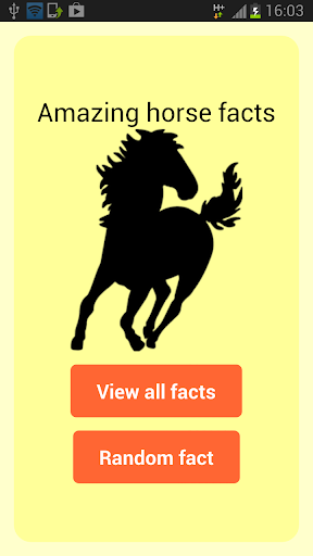Amazing horse facts