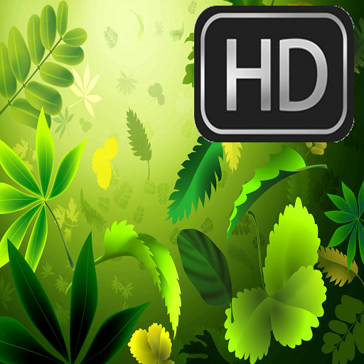 HD Wallpapers for Acer 個人化 App LOGO-APP開箱王