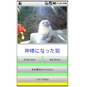 MyBook猫物語wide logo