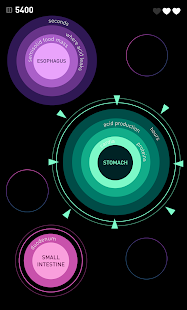 Elevate - Brain Training Screenshot