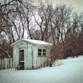 My little Shack by Bets Wilson - City,  Street & Park Neighborhoods