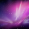 250 LiveRoid Live Wallpaper logo
