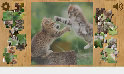 Cats and Kittens Puzzles poster 7