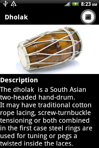 Indian Music Instruments