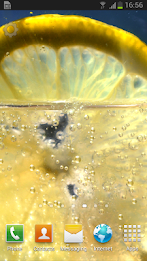 Lemon Appling LWP poster 1