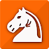 Follow Chess3.3.2