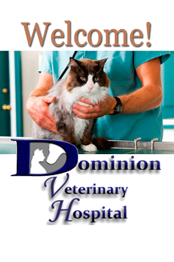 Dominion Vet