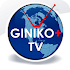 GINIKO+ TV1.5