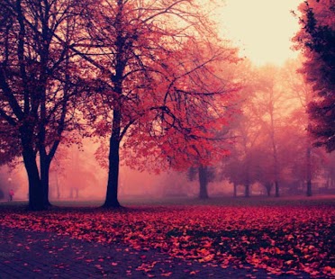 How to mod Autum Falling leaves 1.01 mod apk for android