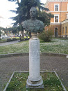 Busto Pietro Toselli