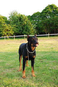 DSC_0284.JPG