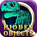 Night at museum Hidden Objects icon