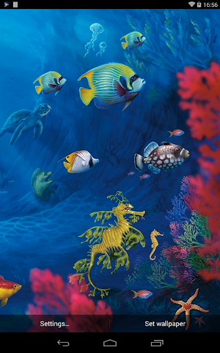 Sea Aquarium Live Wallpaper